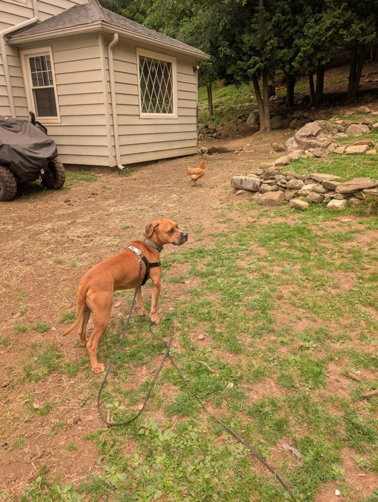 Russell Is Doing Great