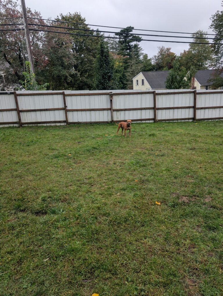 Russell Settled In Well!