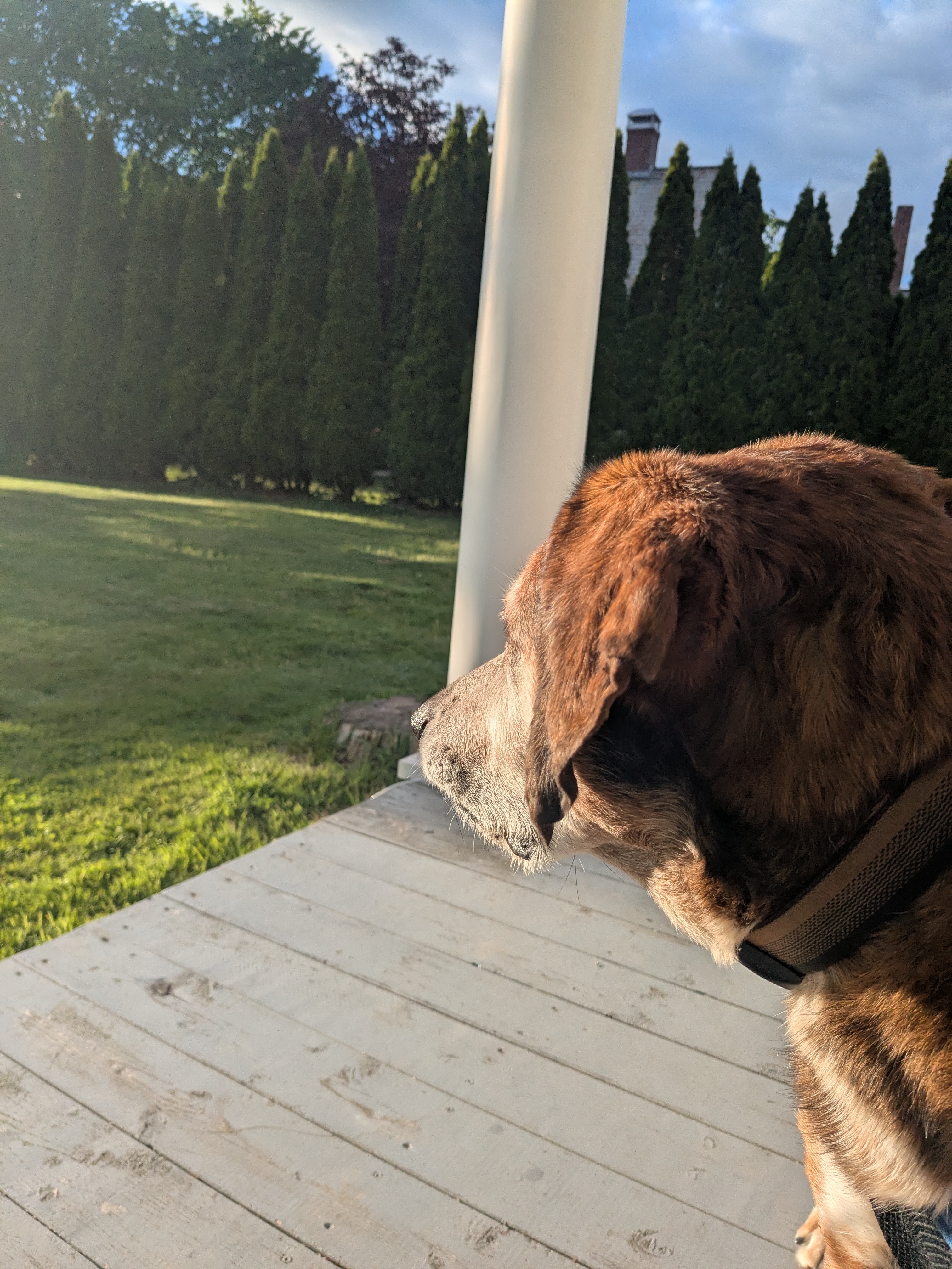 Neighborhood Watch!