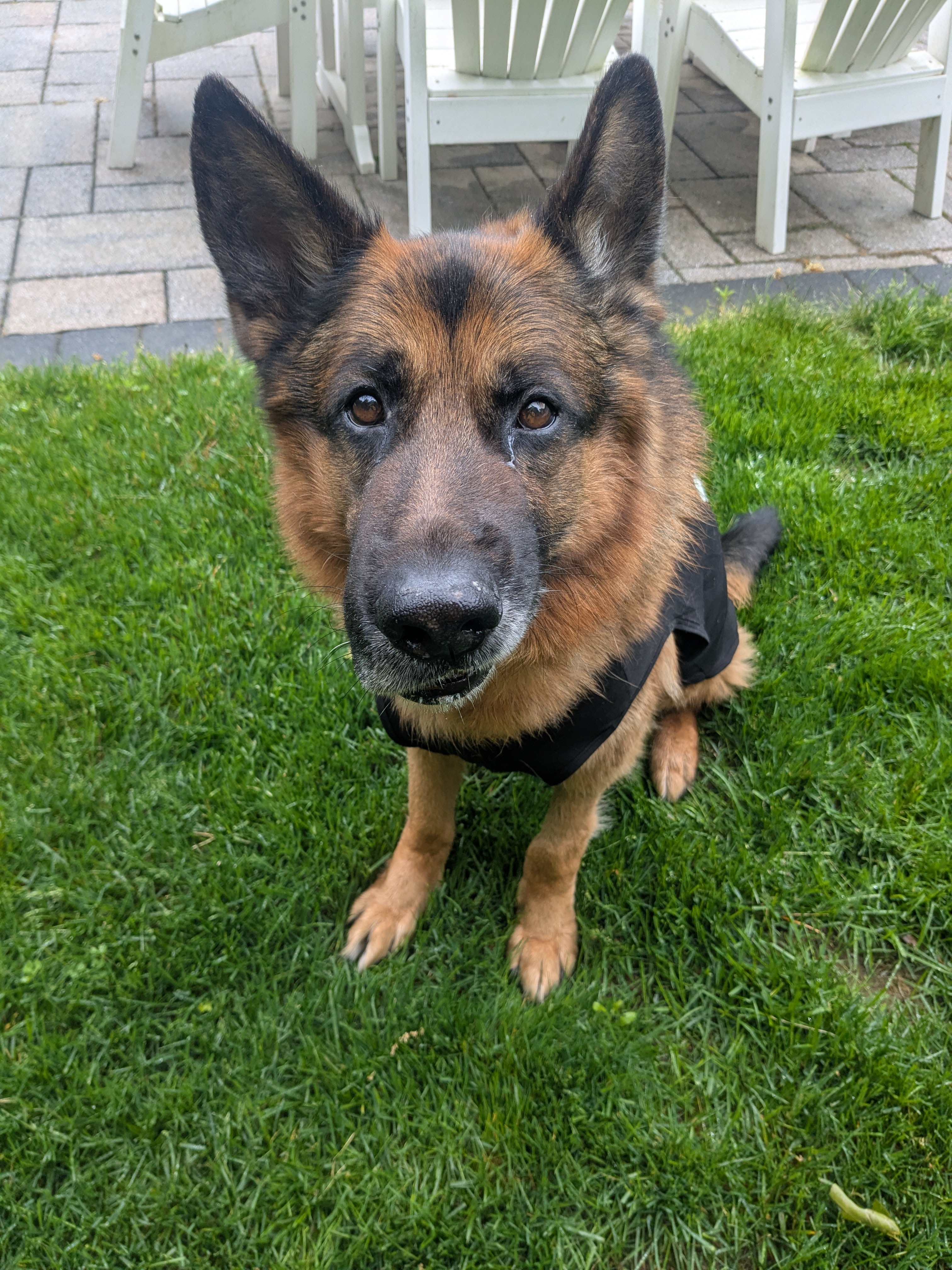 Good Morning Max!❤️