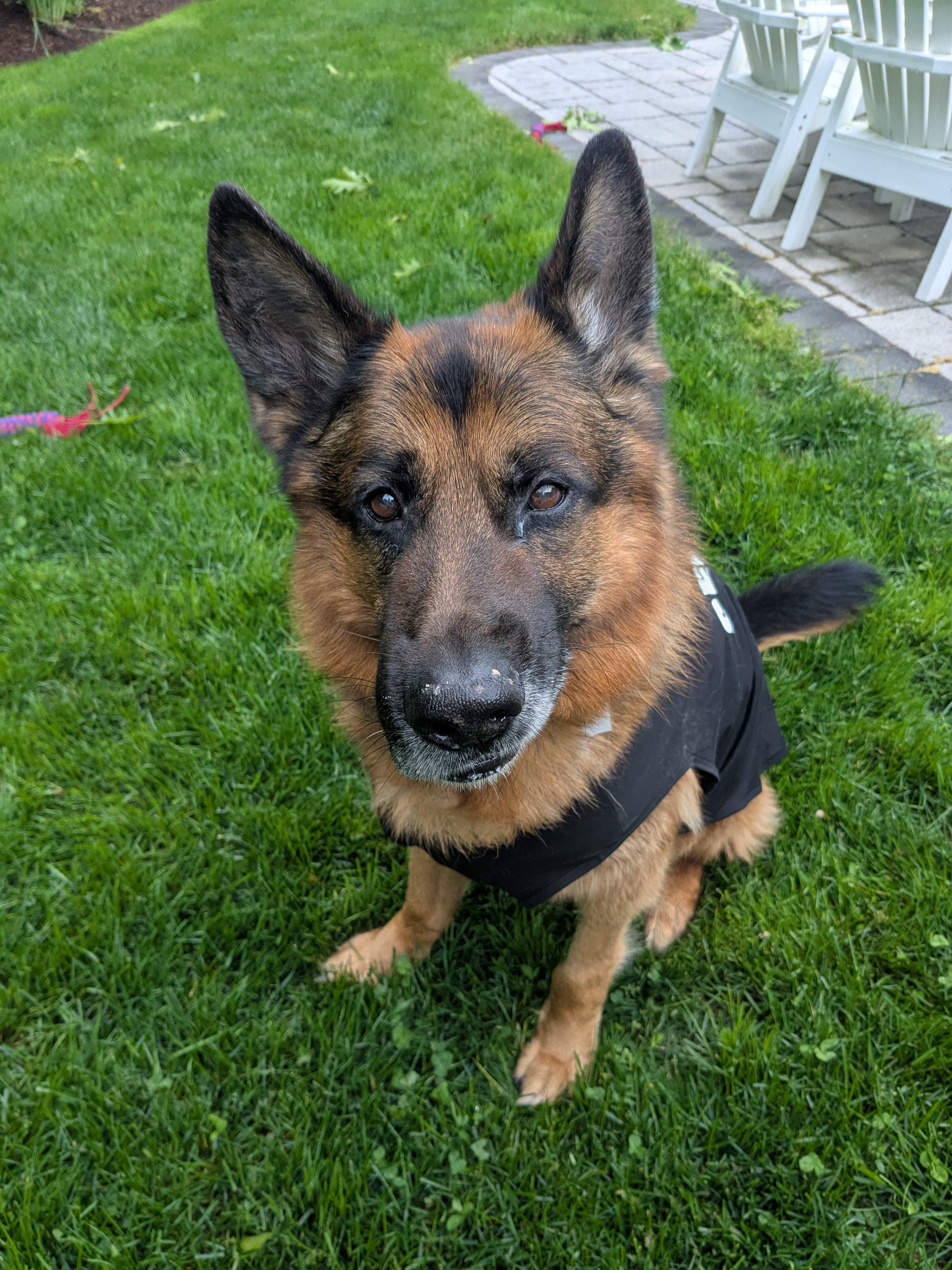 Max Was On A Mission!