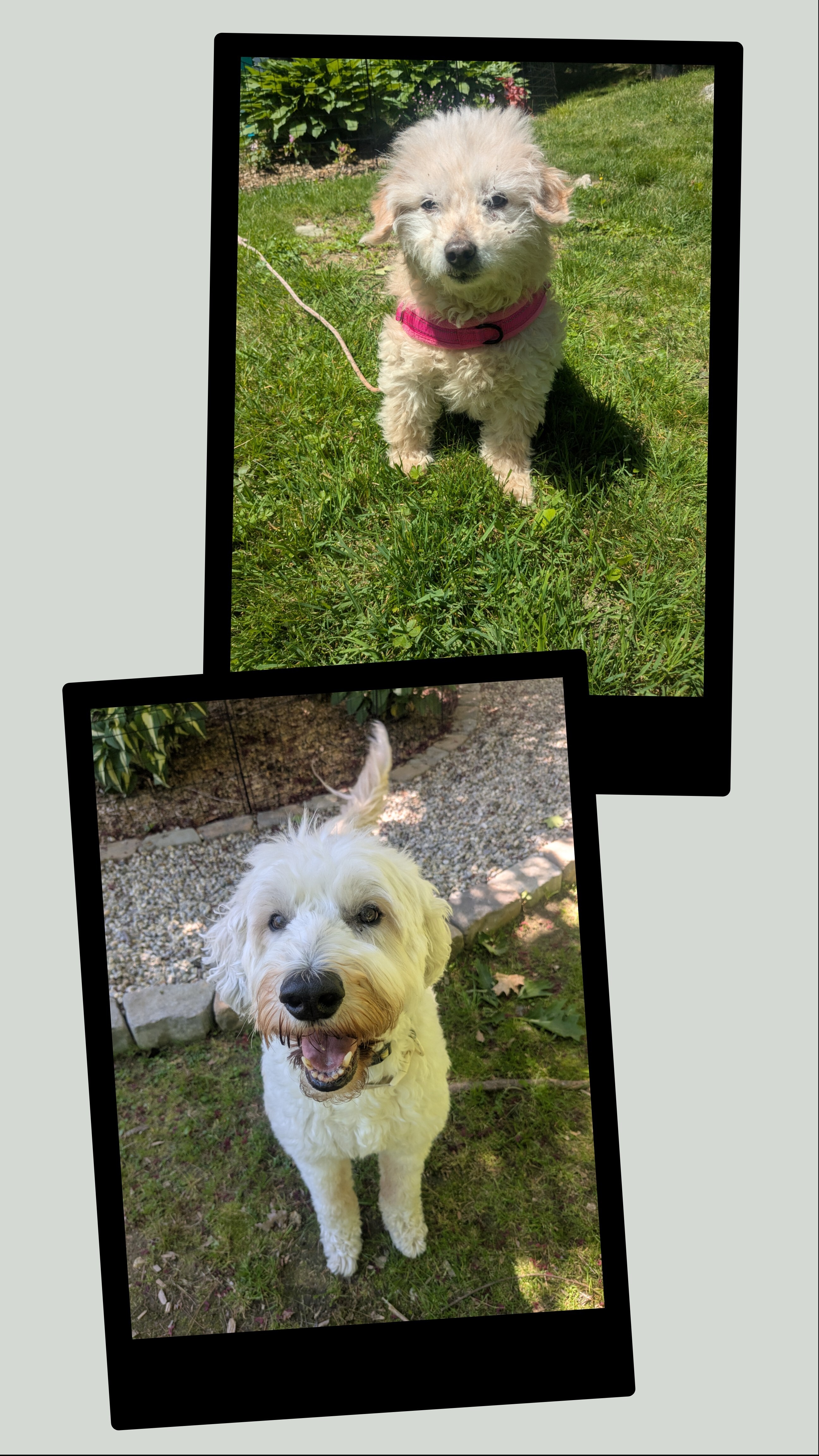 Perfect Day To Play!