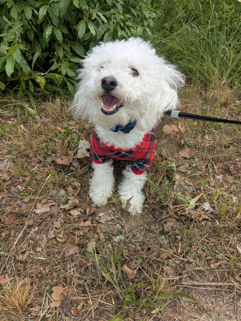 Little Mr. Sunshine!