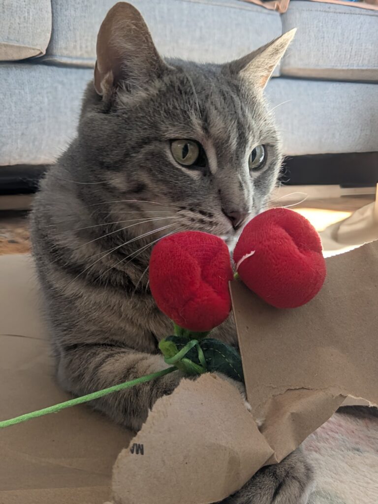 This Girl Loves To Play!