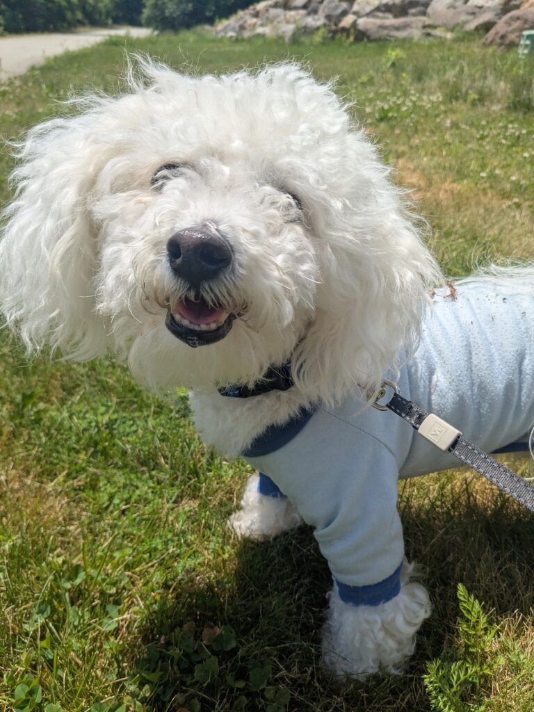 Fun In The Sun With Mylo!