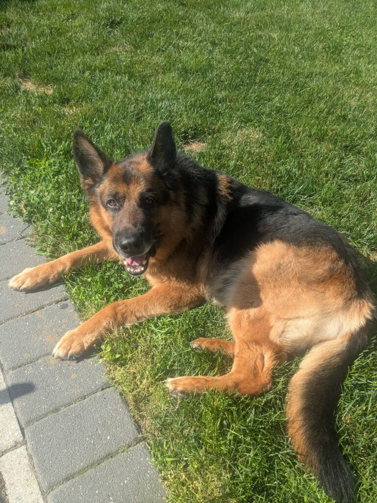 Hello Sweet Boy!!!