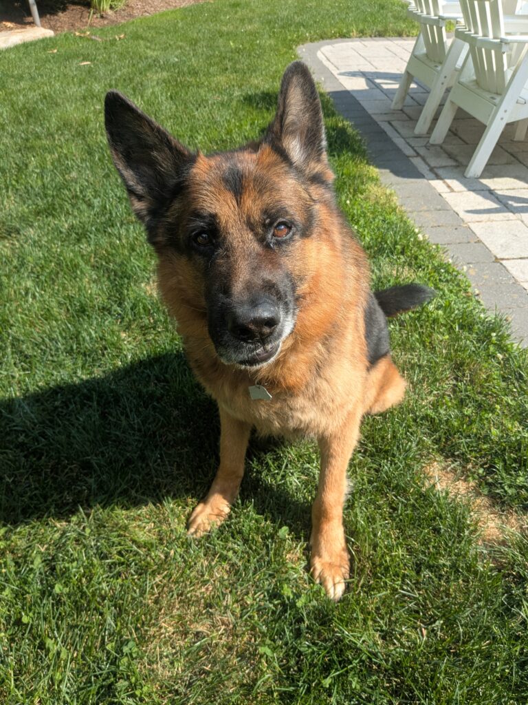 Such A Happy Boy!