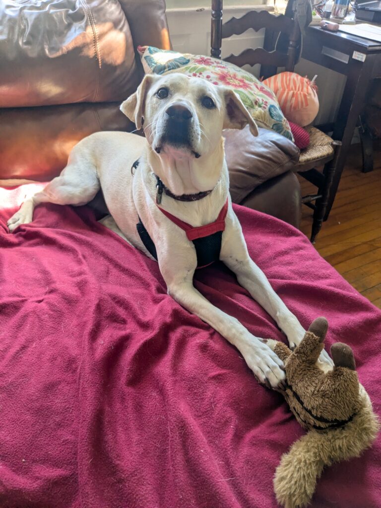 Casey’s Silly Side Is Shining Through!