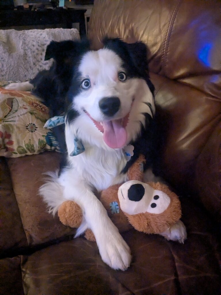 Sophie Loves Her Teddy!