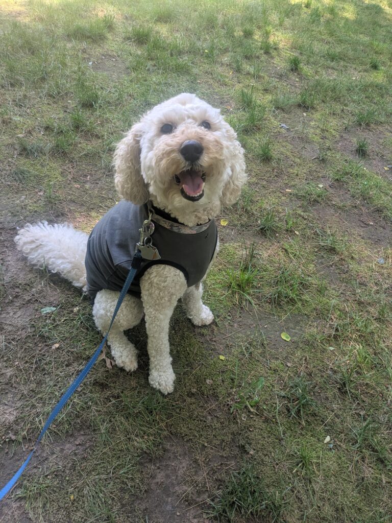 Millie The Marvelous!