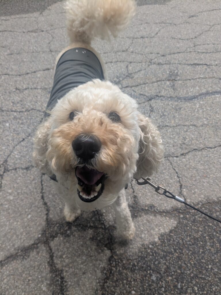 Happy Girl!