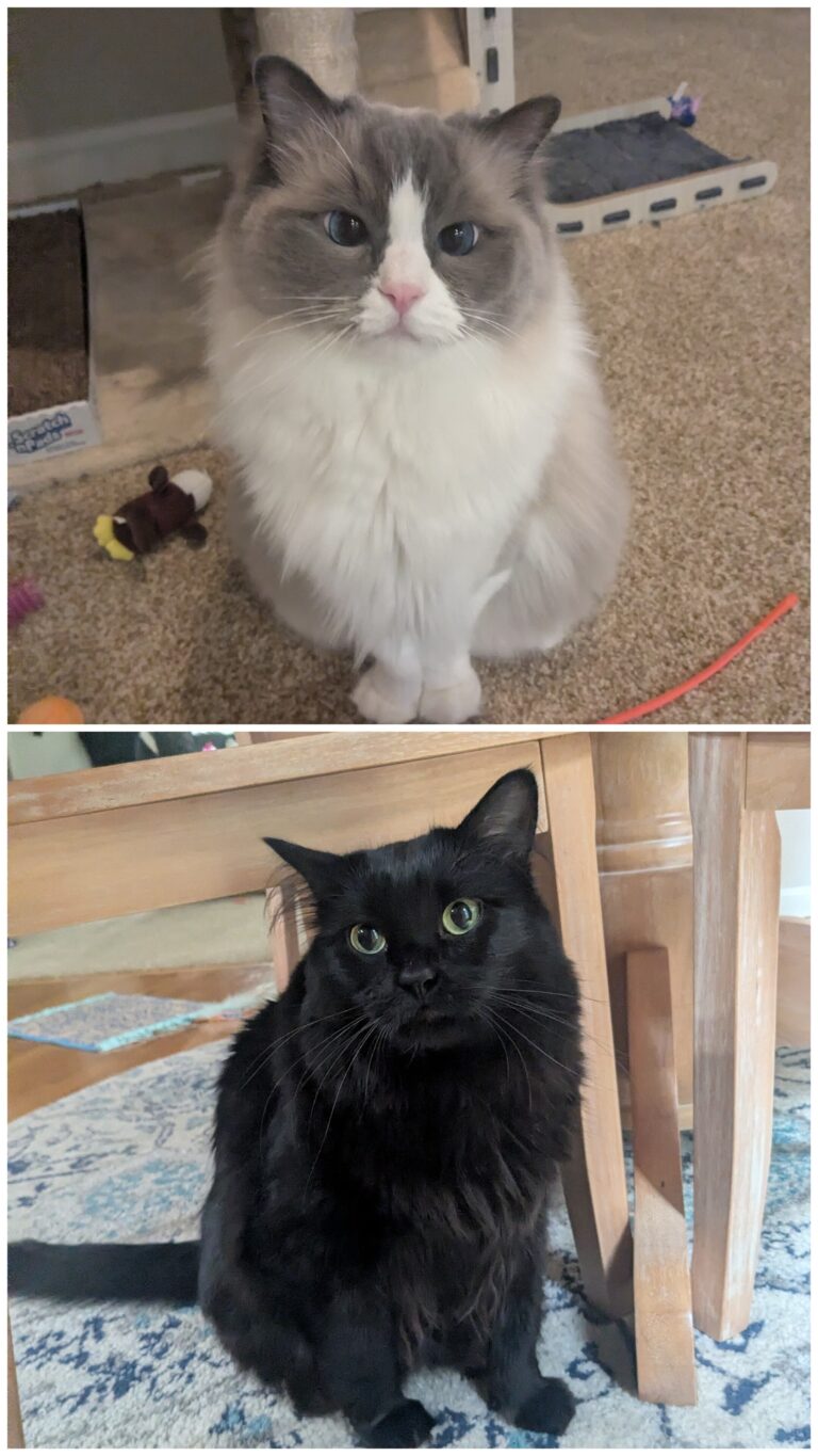 Wednesday Morning With The Fuzzy Butts