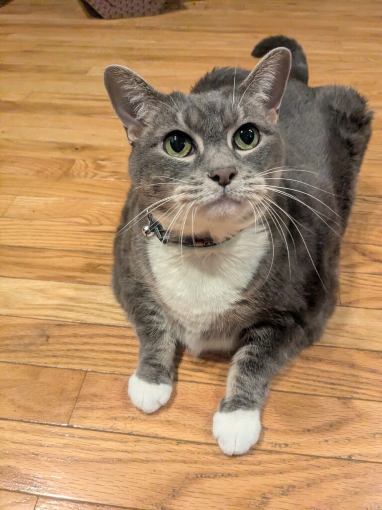 Bella!!!!!