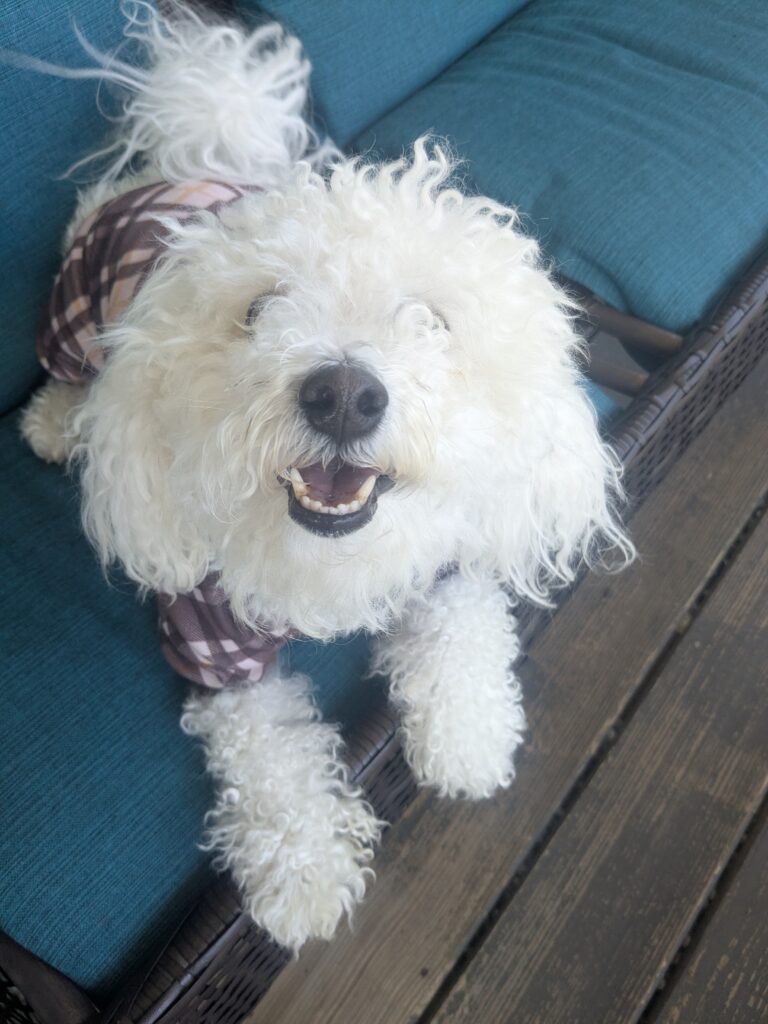 Such Happy Wiggle Waggle Boy!
