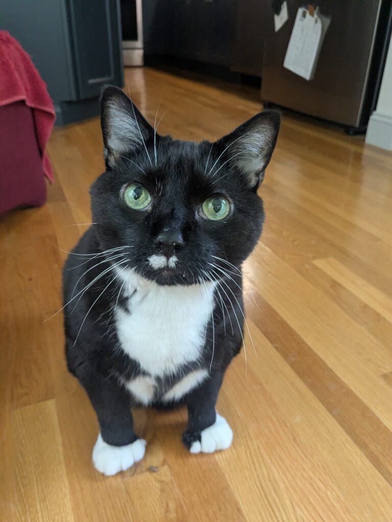 My Oh My Are You A Handsome Fella!