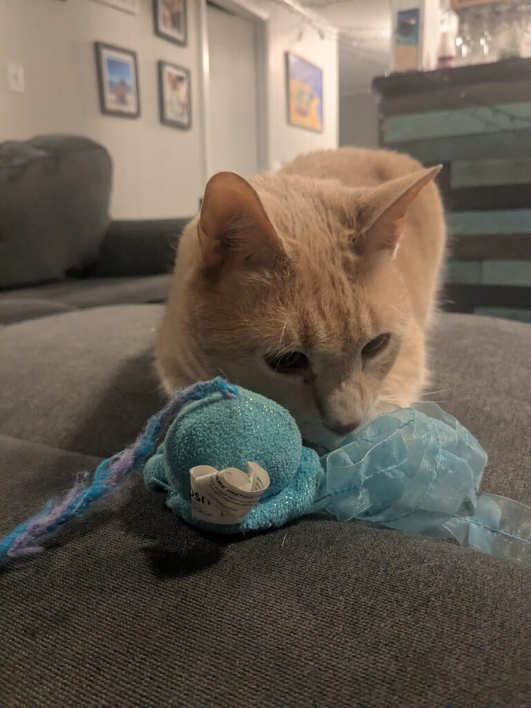 The Purr-fect Date!