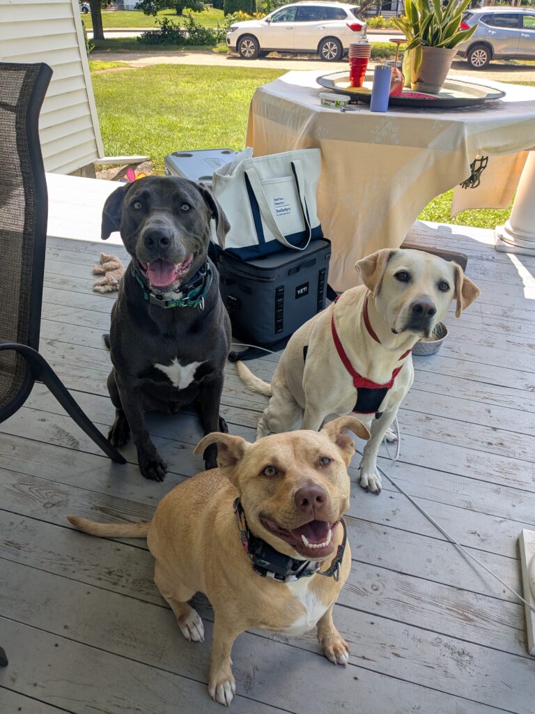 Casey’s Sunday Funday!