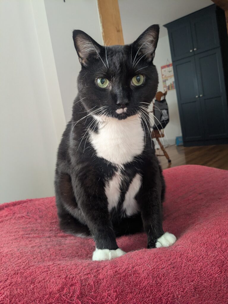 Thanks For Being You. Charlie!