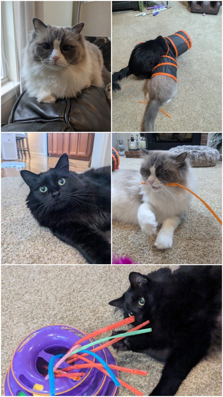 Too Cute Tuesday!