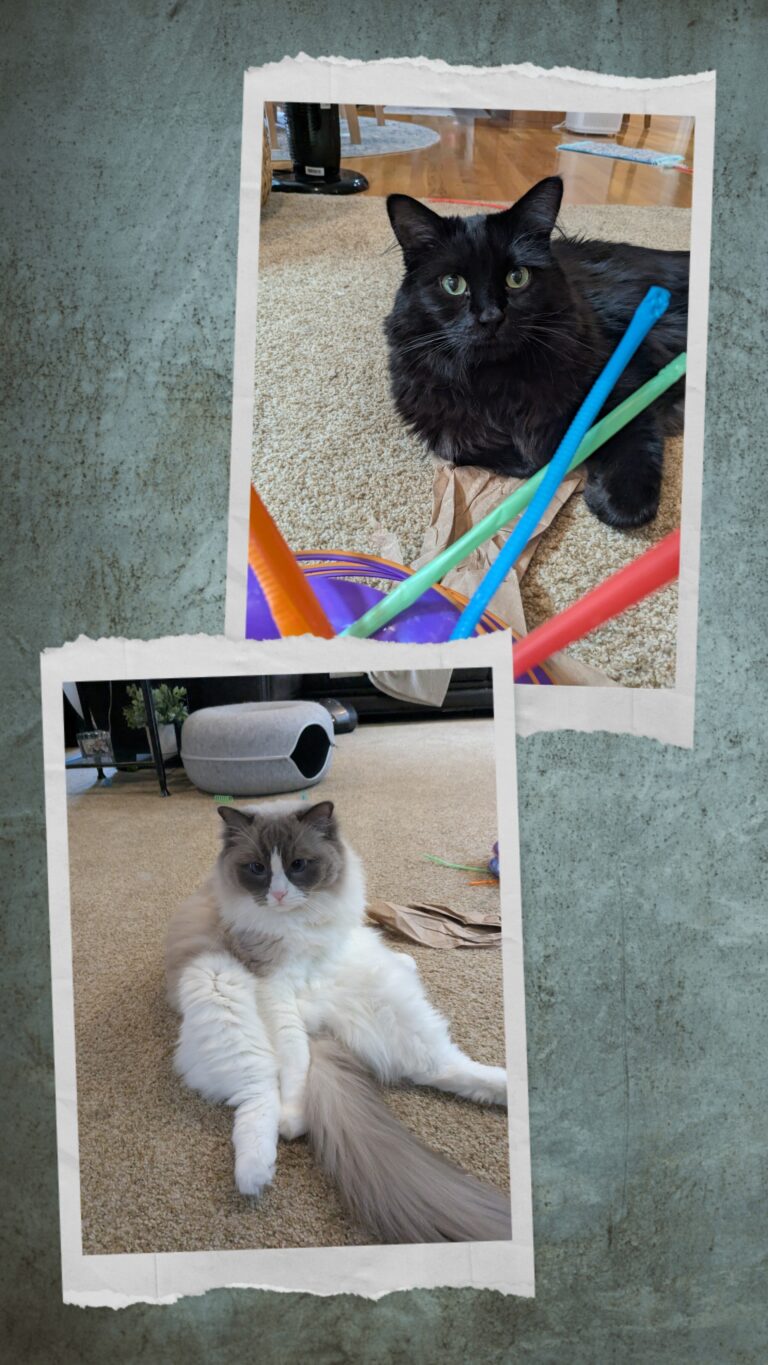 Spa Day With A Side Of Play!