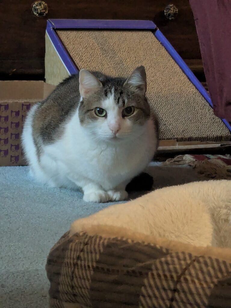 Josie Came Out To Say Hello!