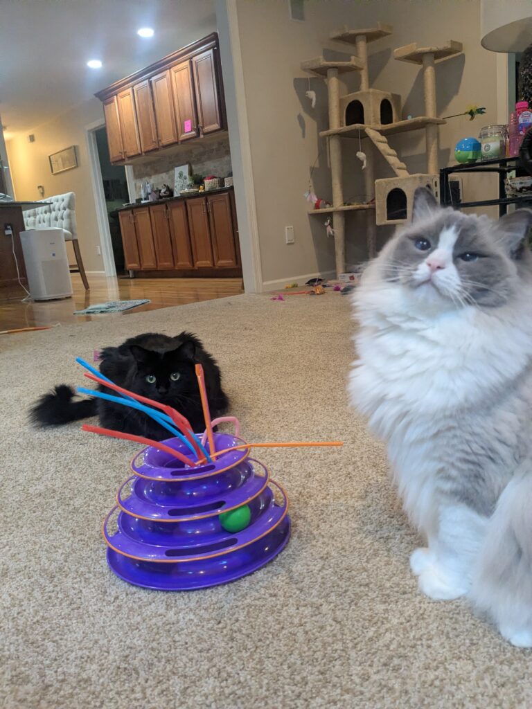 A Nice Friday For A Pet-sitting Visit