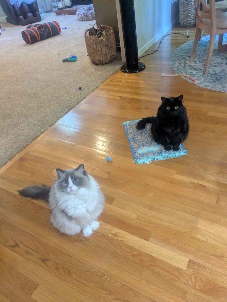 Just Purr-fect