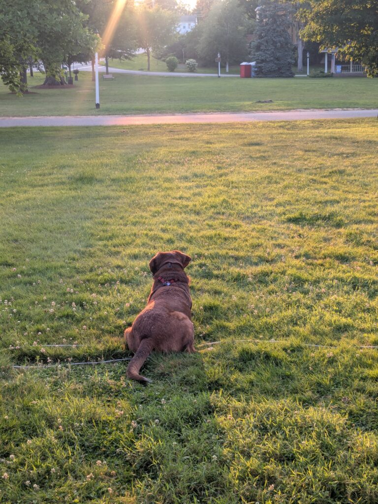 Loving Life
