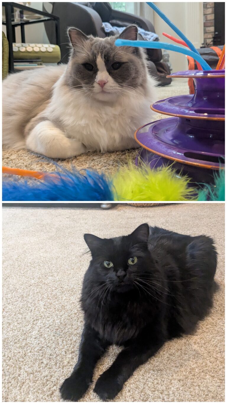 I’m Not Crying! You’re Crying!