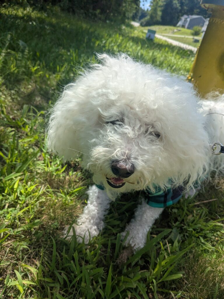 Mylo Struts His Stuff!