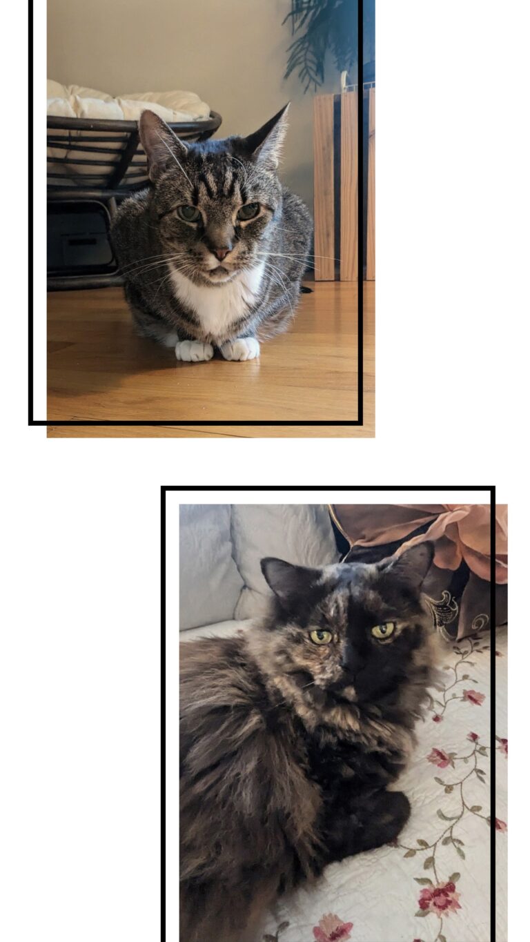 Sunday With Addie & Sheldon.