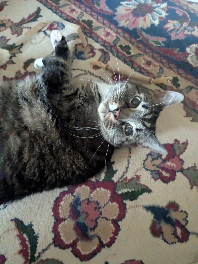 Thanks For The Laughs And Love My Sweet Furiends