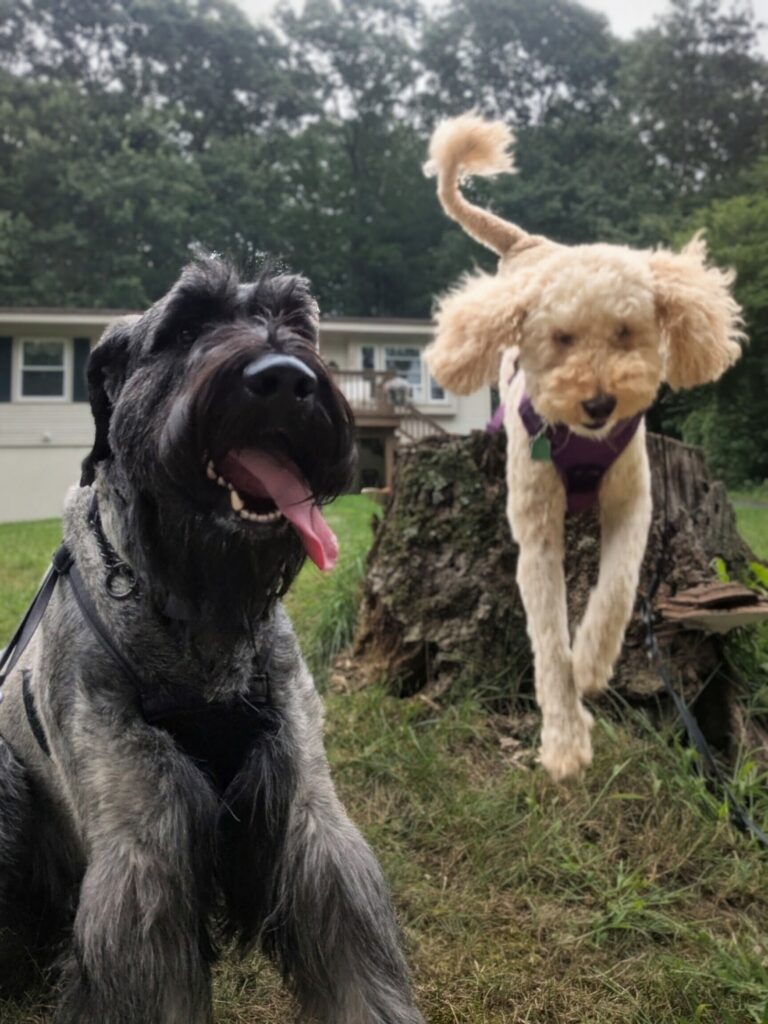 Playdate!!