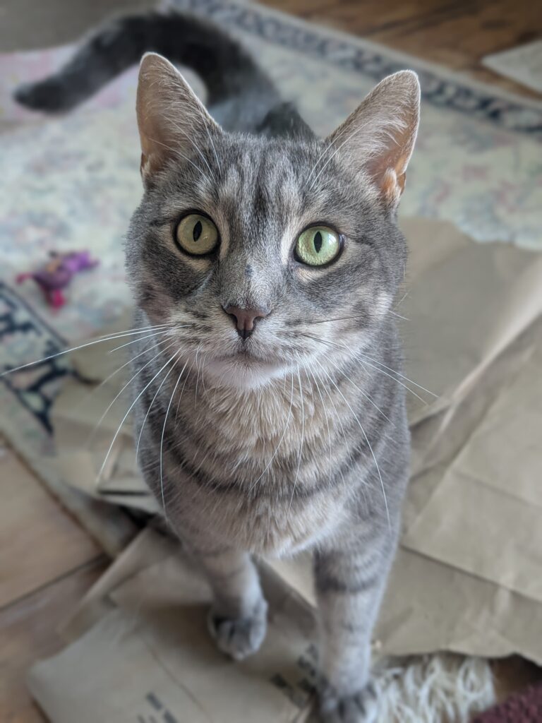 She Is Purr-fect!