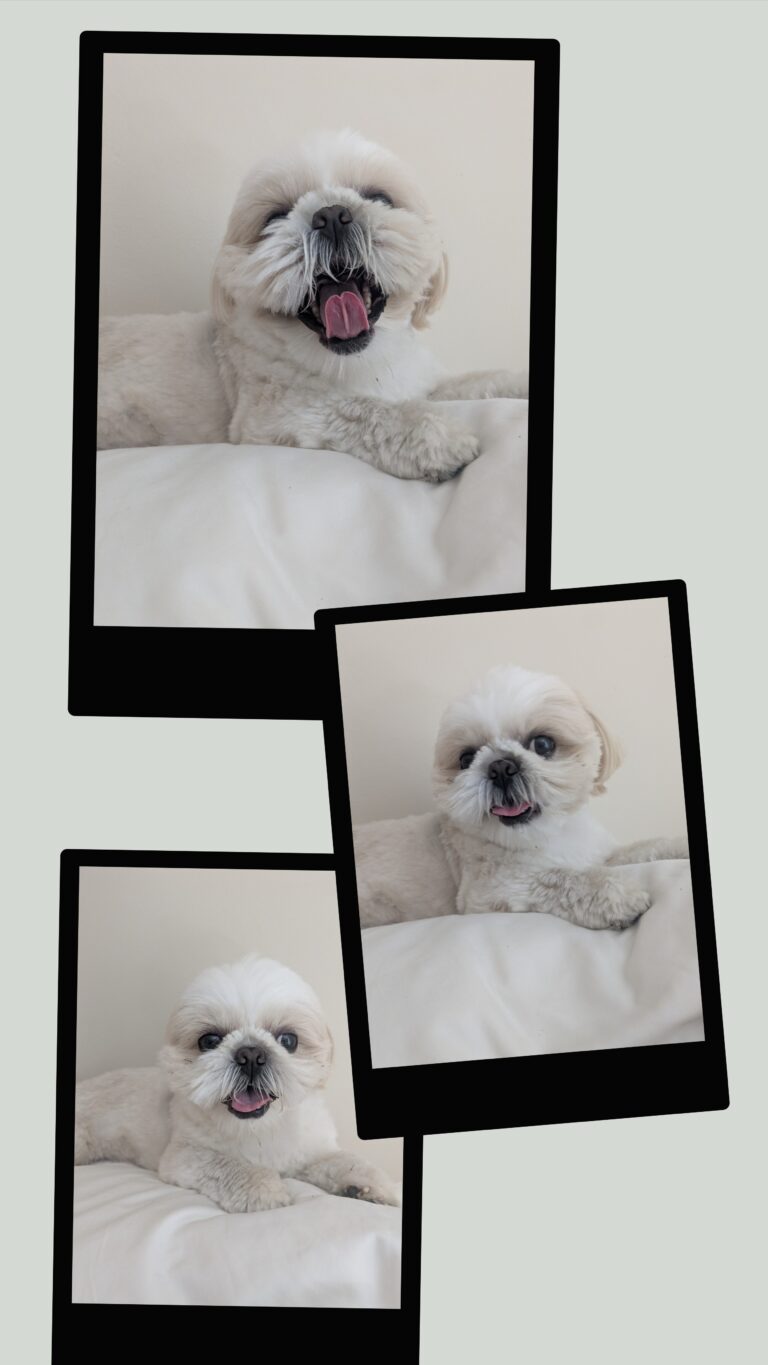 Frolicking Friday Afternoon!
