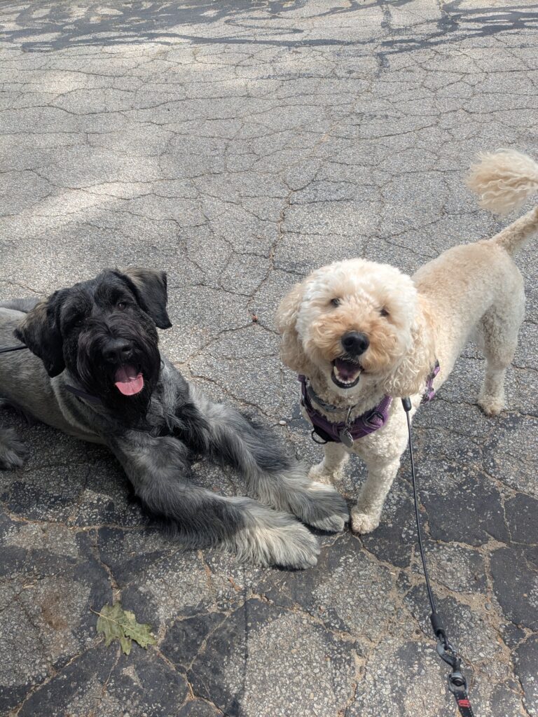 Best Buddies!