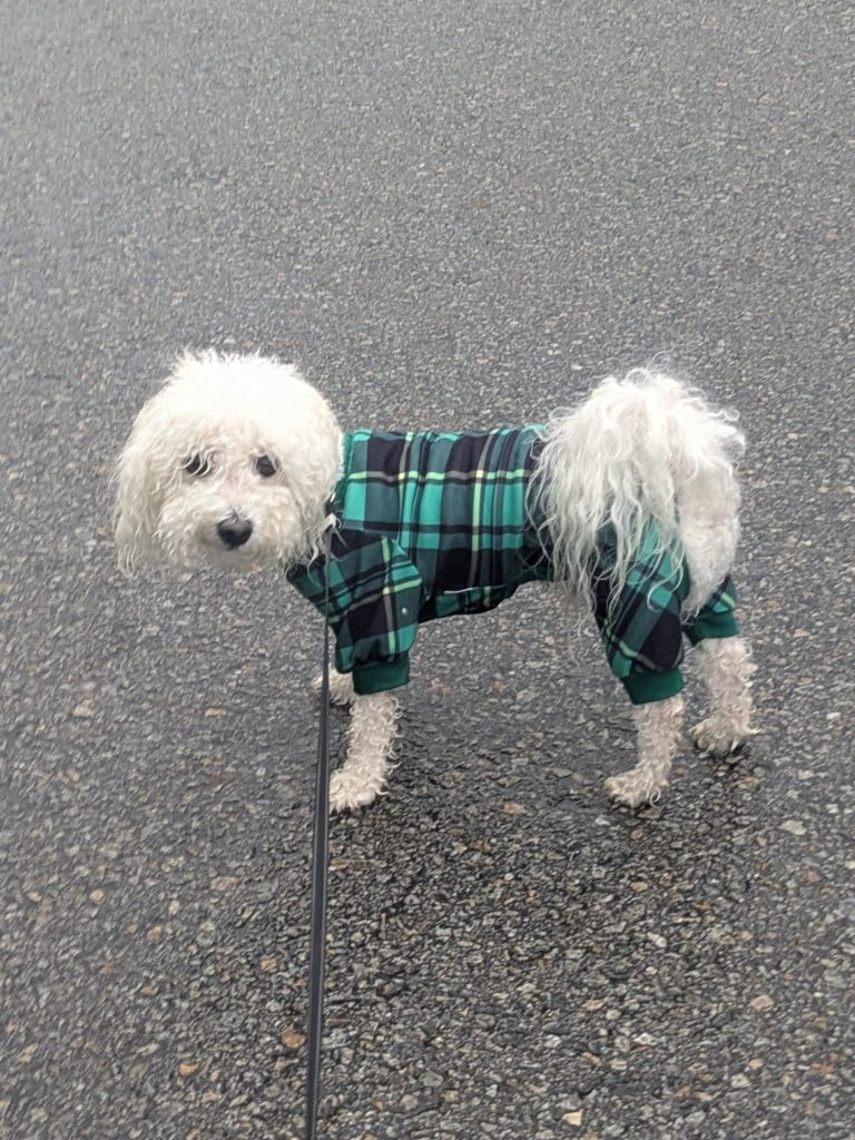Soggy Walkies With Furiends!