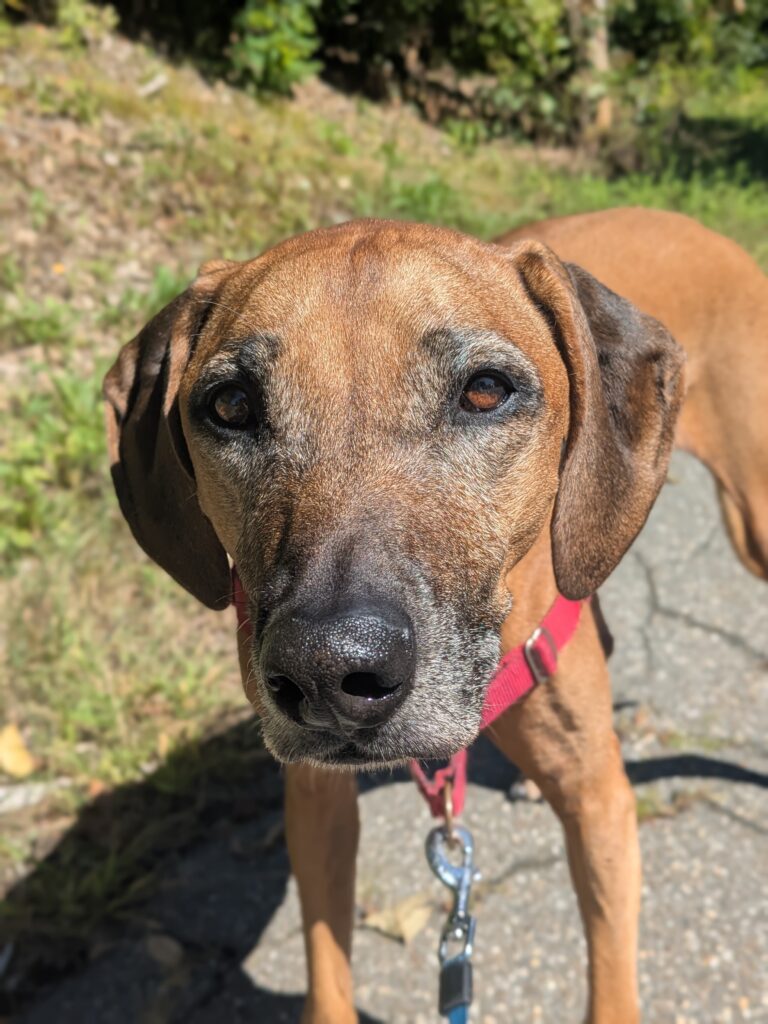 Oh How I Missed This Face!