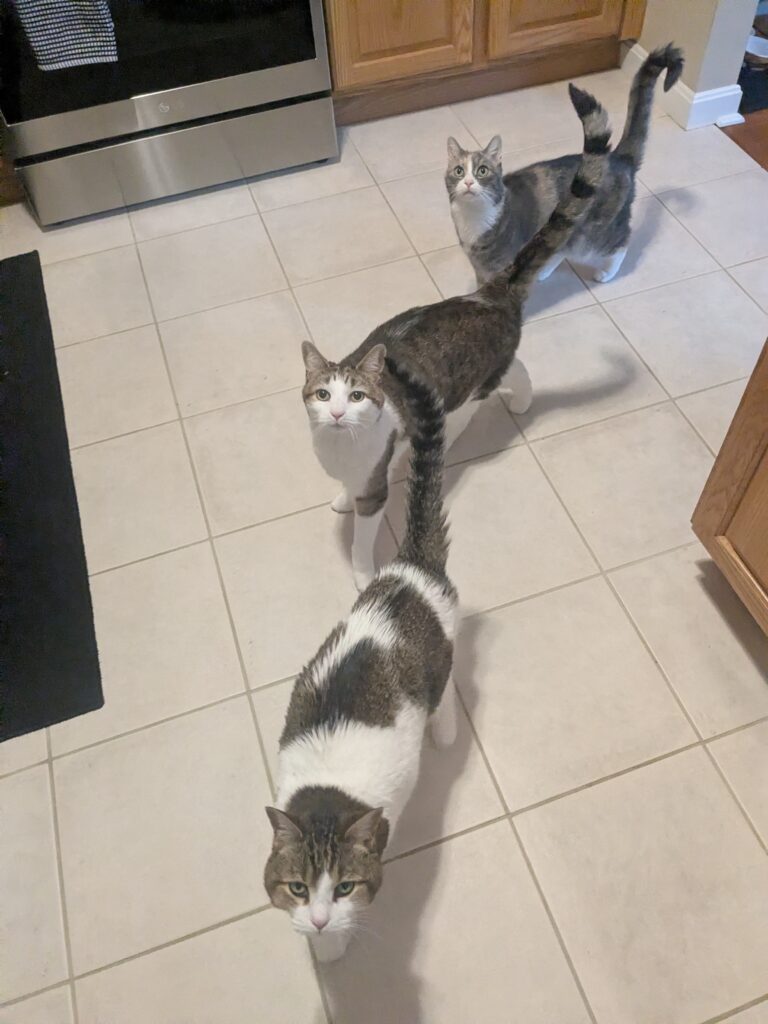 All Aboard!