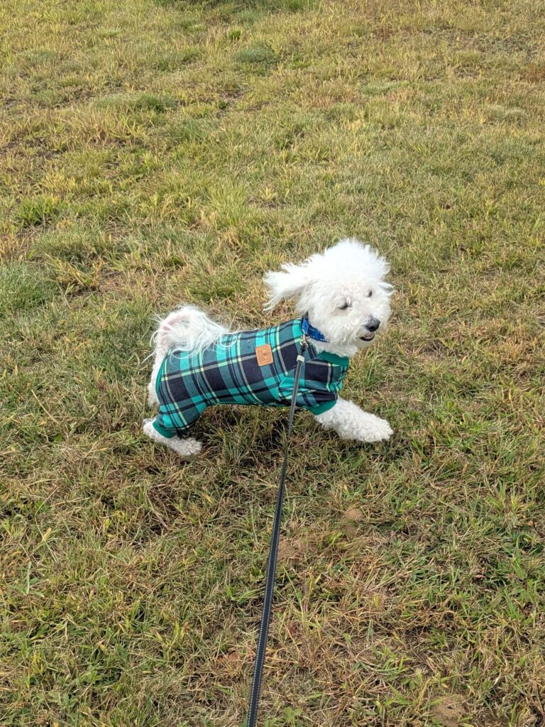 🎶Hap Hap Happy Dog! 🎶