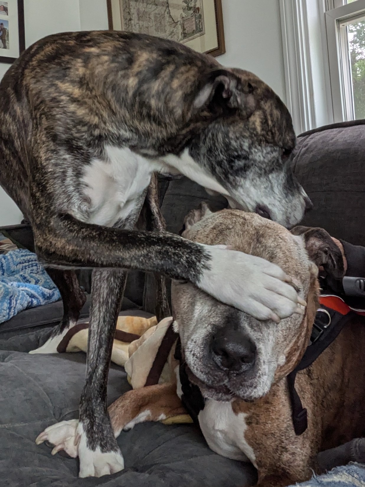 Don’t Look