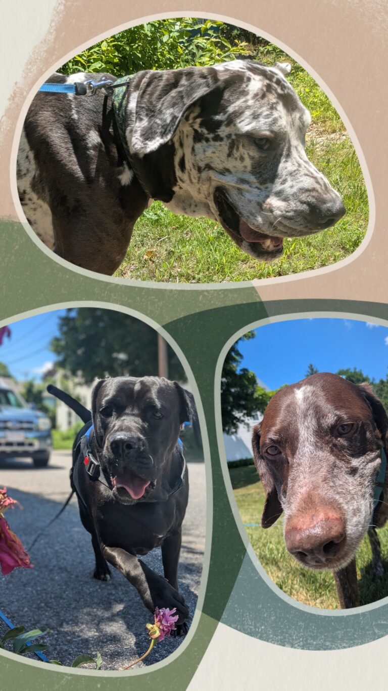 Neighborhood 3 Ways