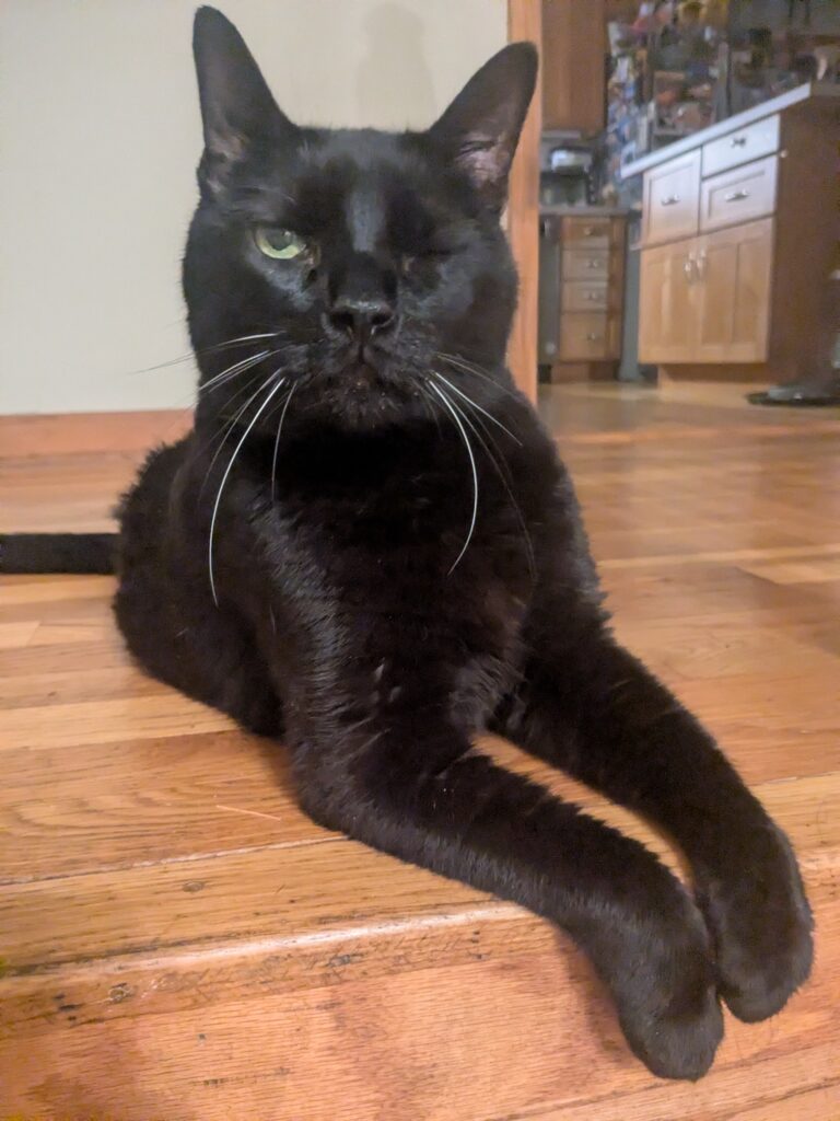 Cash Has A Sense Of Humor