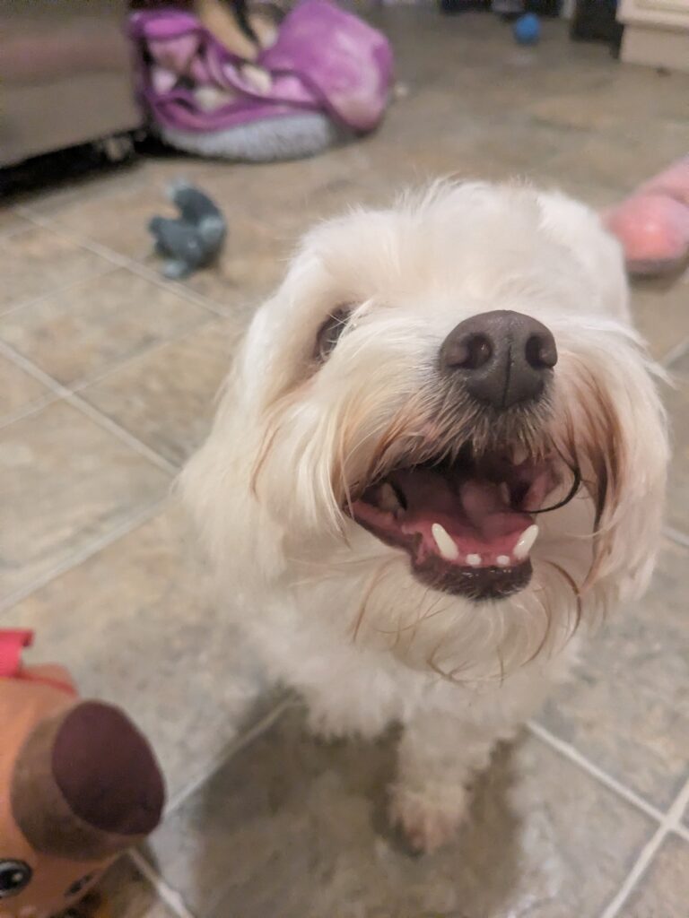 That Smile!