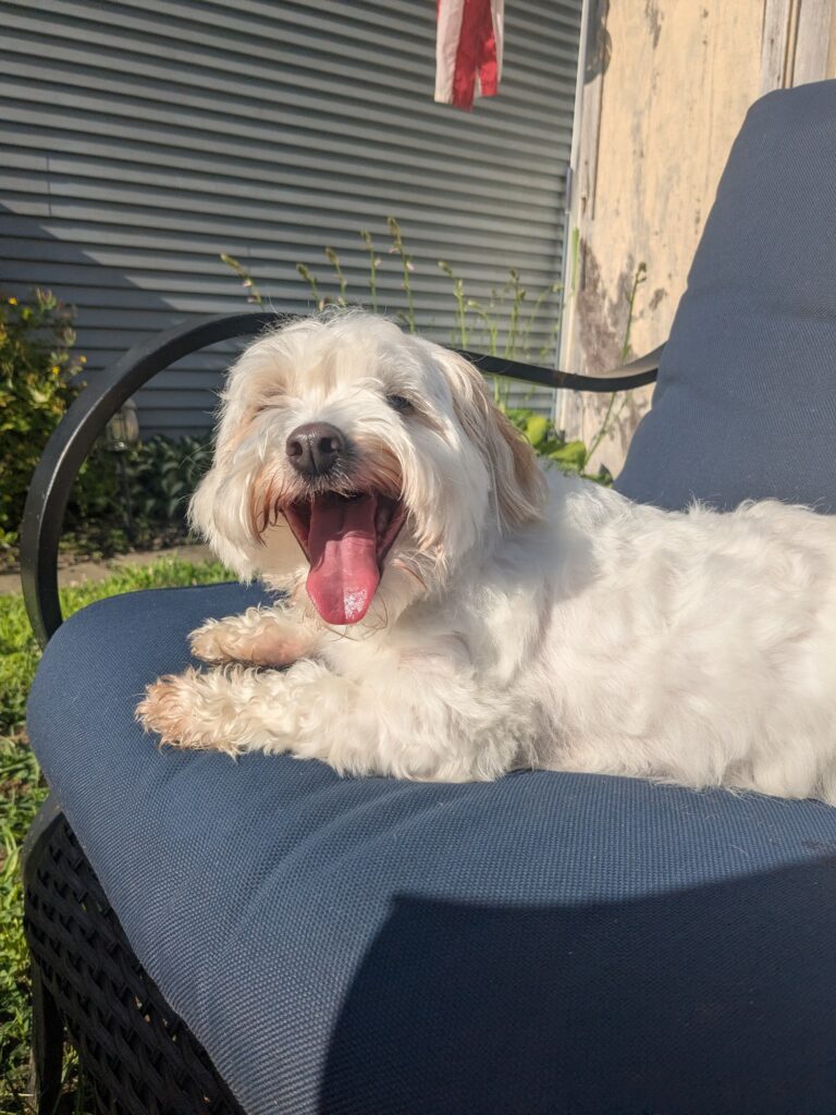 Sunbathing 🌞