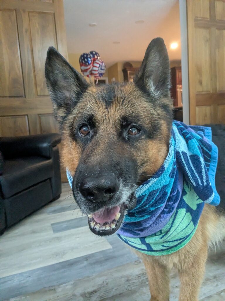 Maxurrito