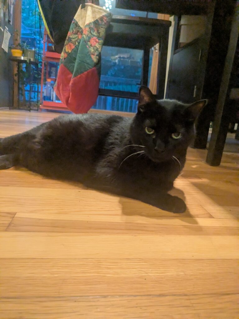 Chillin’ After Fillin’