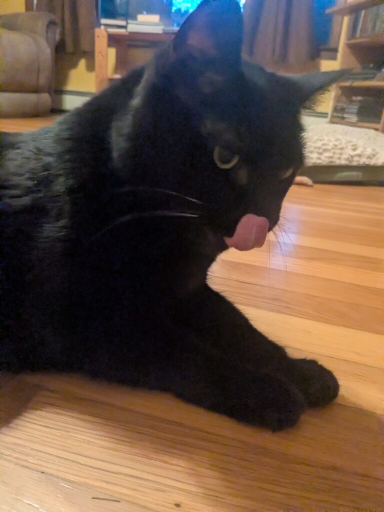 Photos From Saturday’s Pet-sitting Visit