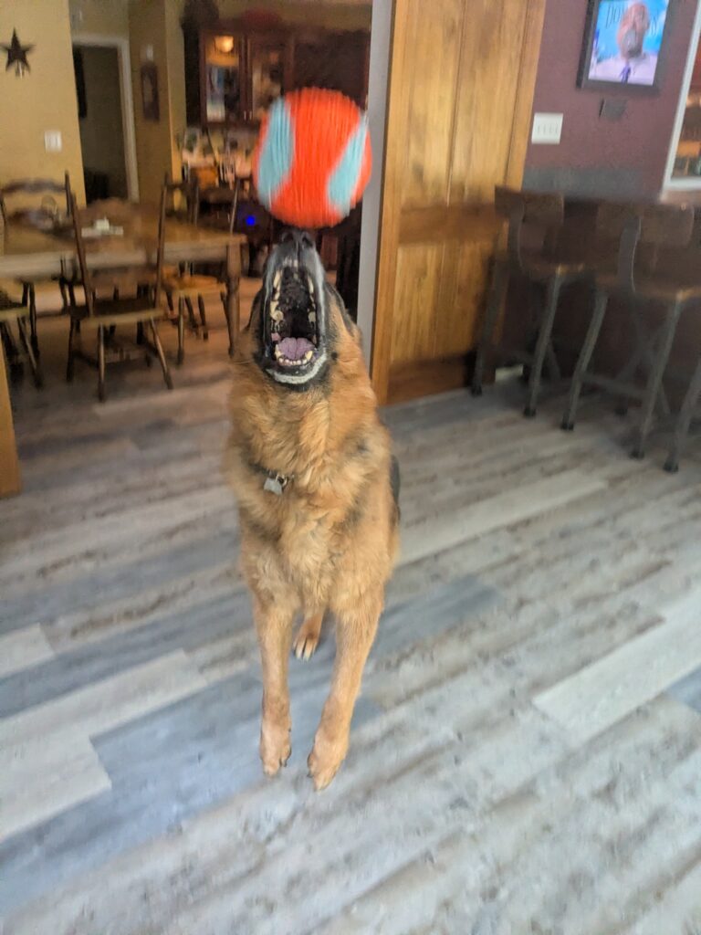 Havin’ A Ball With Max ⚽