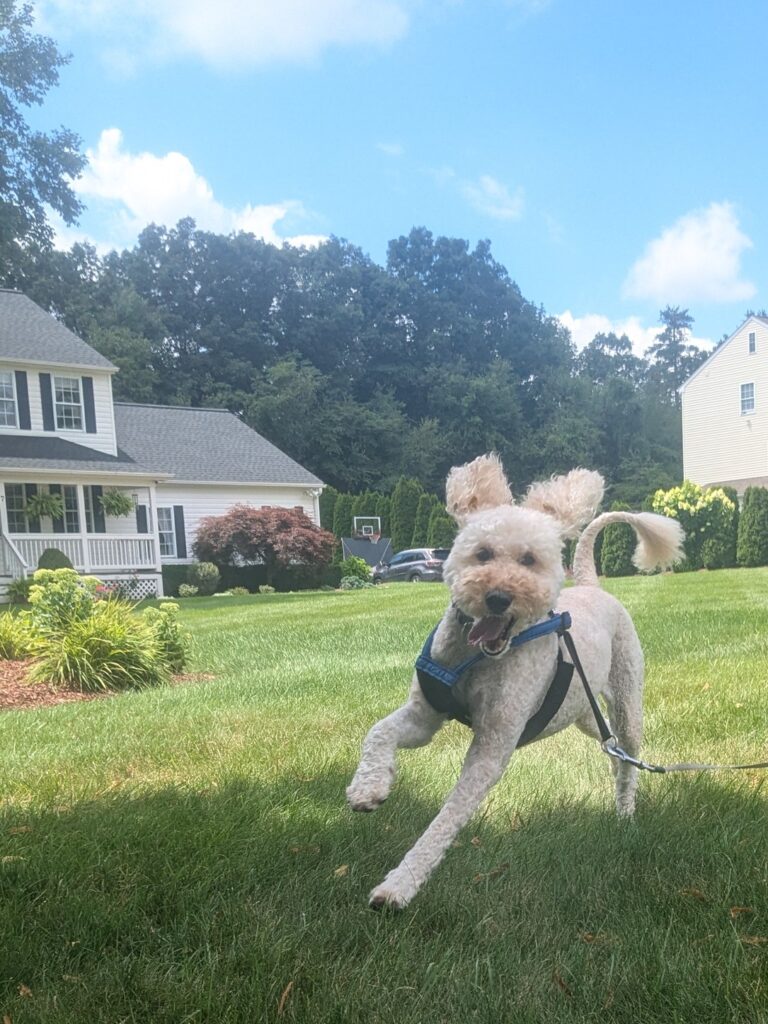 Showing Off The Do